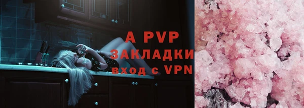 стаф Алексин