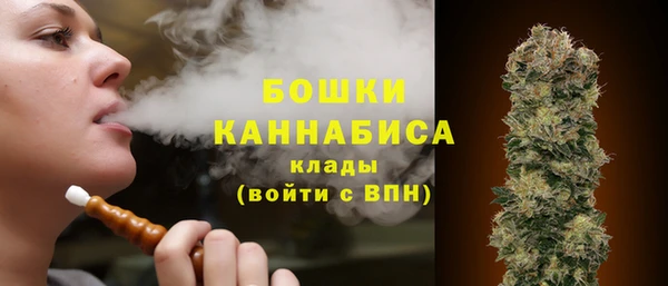 сатива Абаза