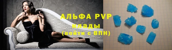 стаф Алексин